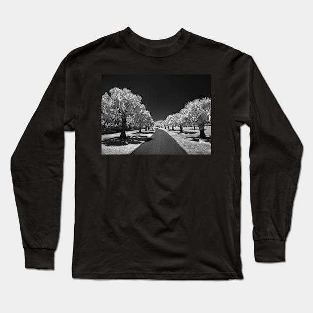 Bismark Palms Long Sleeve T-Shirt by MattNQ